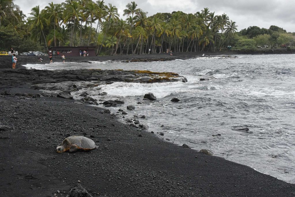 Punalu'u Black Sand Beach