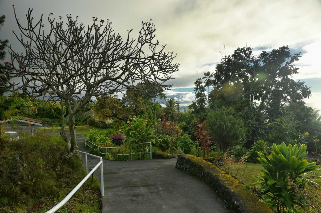 DSC_6419-edit