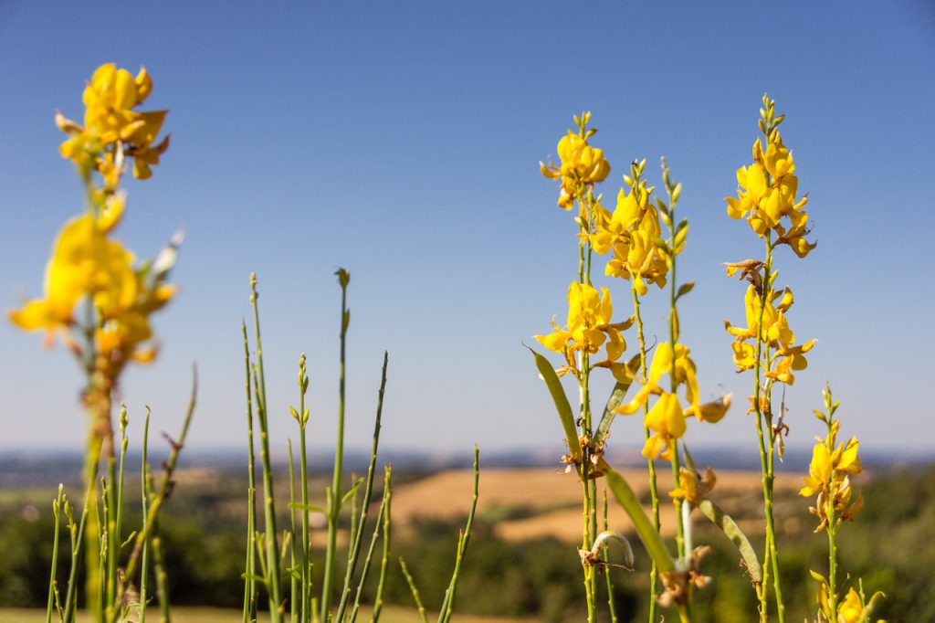 Occitanie, France