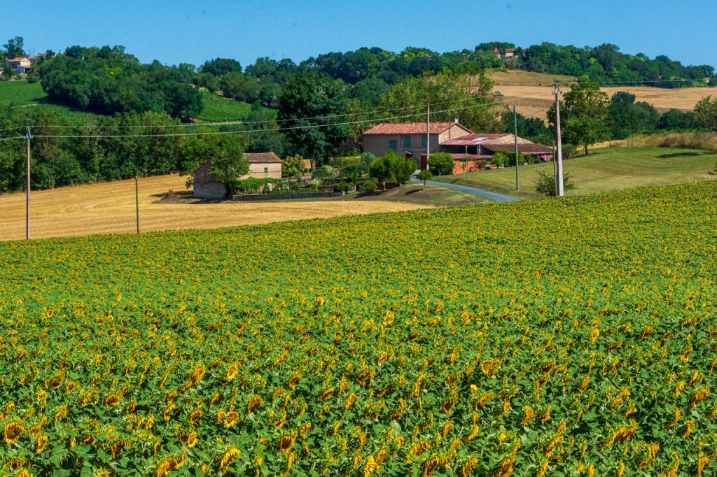 Organic winery tour in Gaillac: teh beautiful landscape