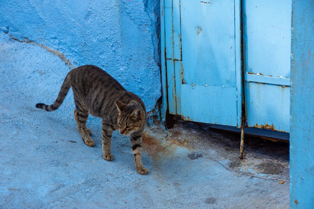 Tepe Kusadasi neighbourhood of painted houses