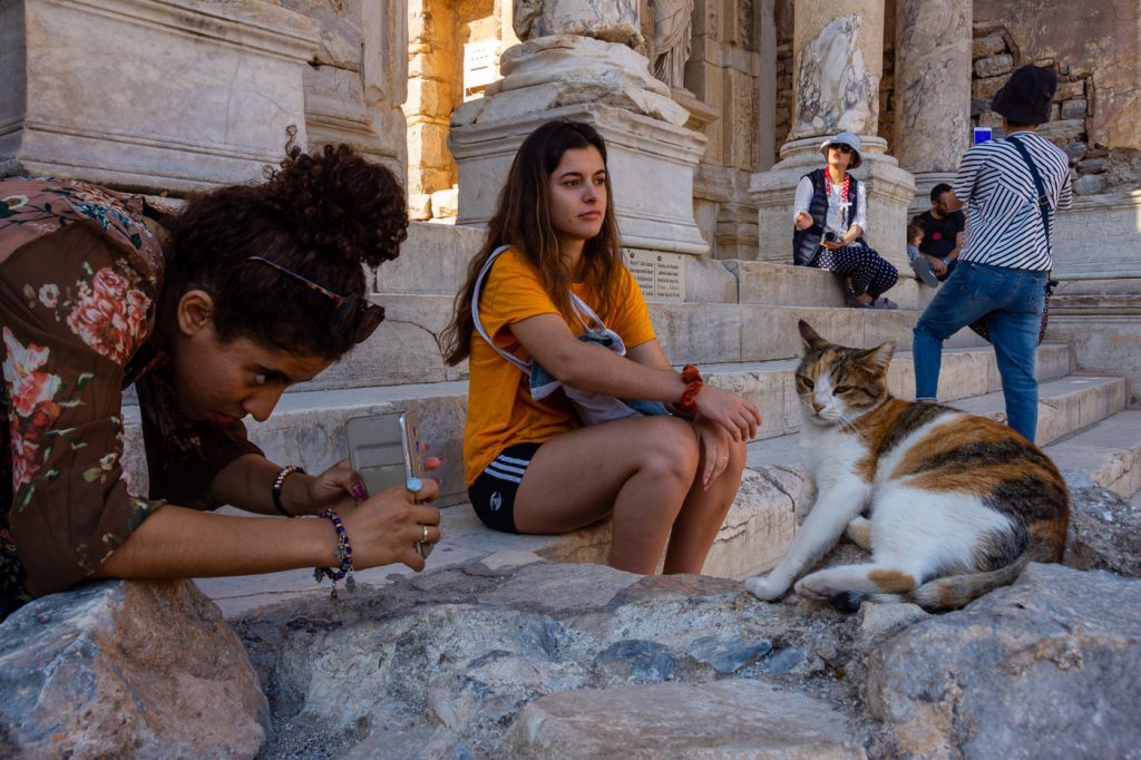 cat at the Library of Celsus at Ephesus