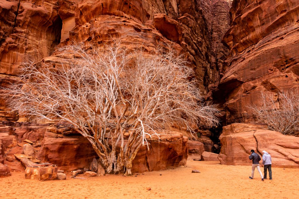 Khazali Canyon in Wadi Rum, Jordan