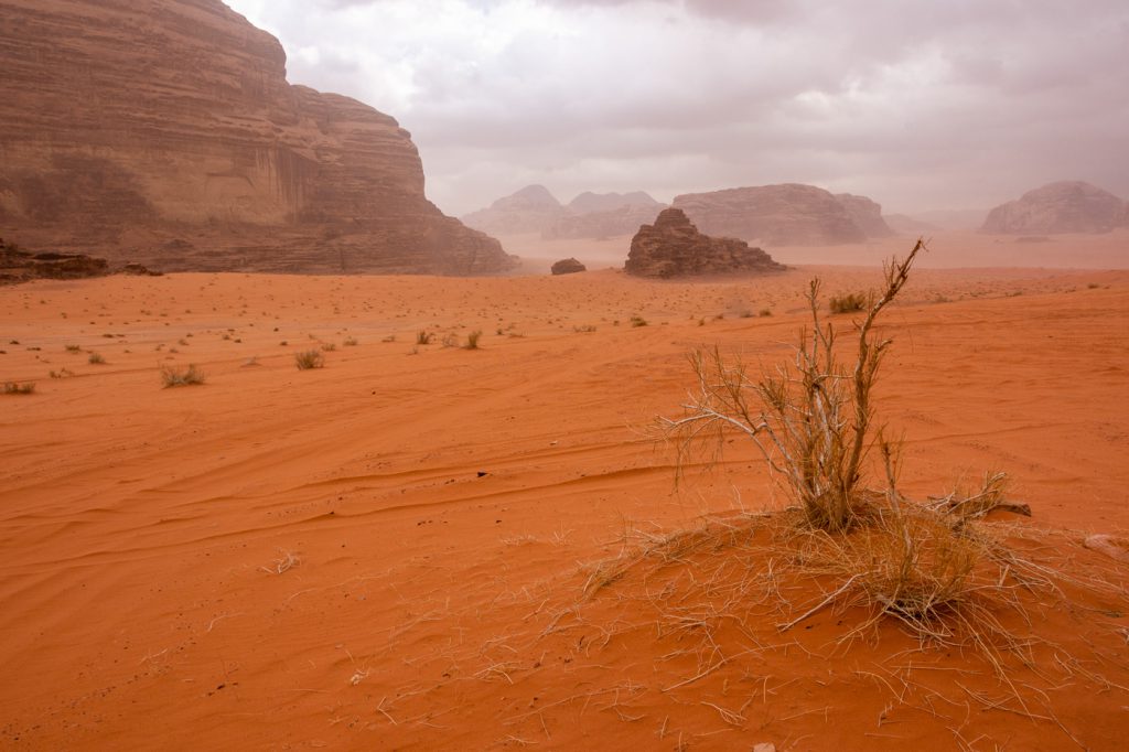 Desert Scenery near Lawrence's House