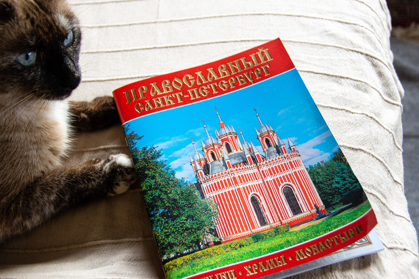 What to buy in St Petersburg, Russia - Holiday-Golightly