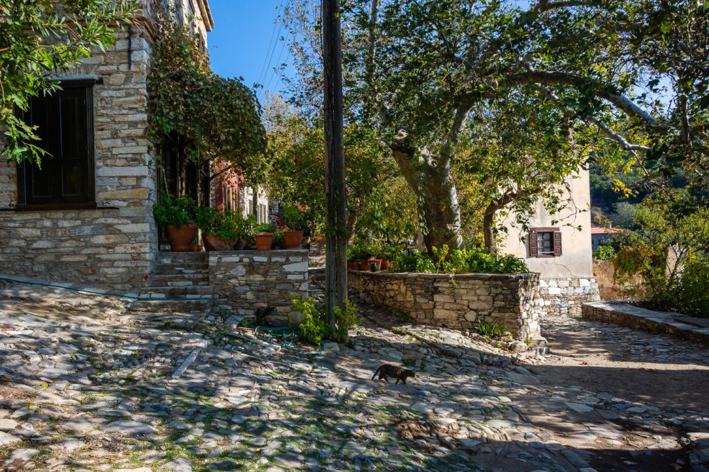 Turkey, Eski Doganbey