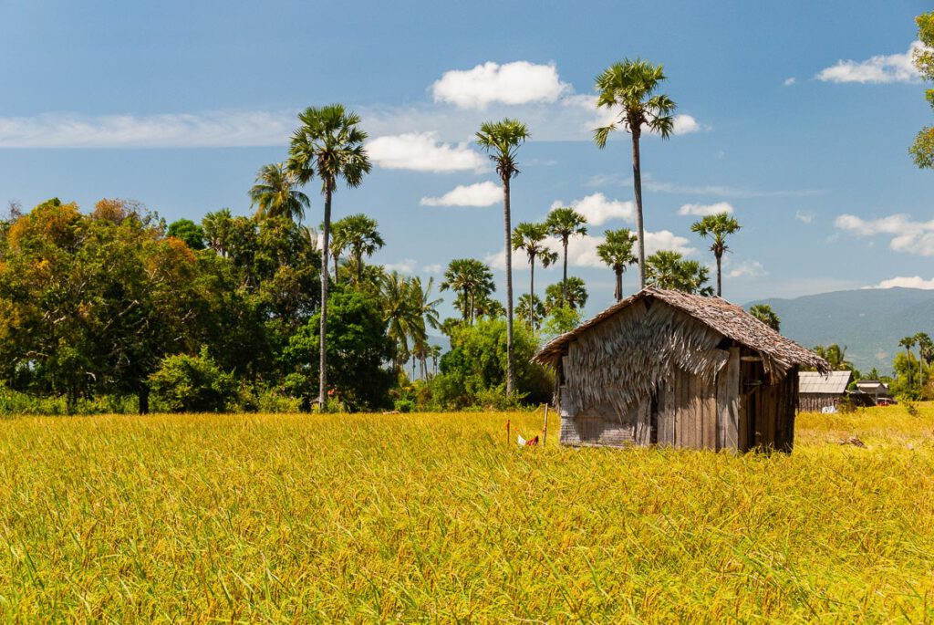 Scenery near Kampot
