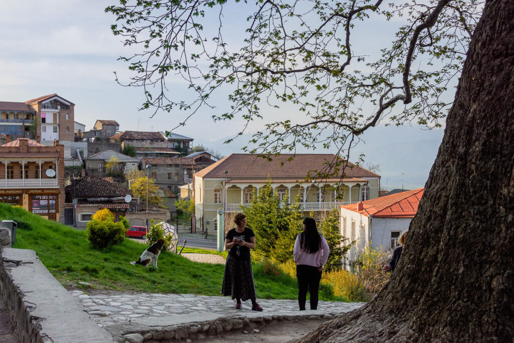 Telavi Resturant by Plane Tree