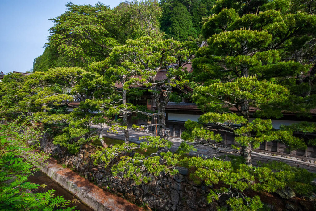 Shojoshin-In Temple Lodging in Koyasan