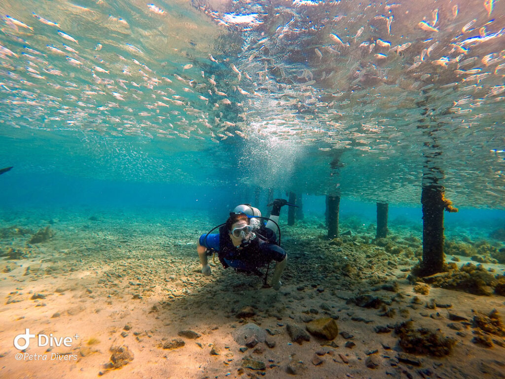 Divingin Aqaba