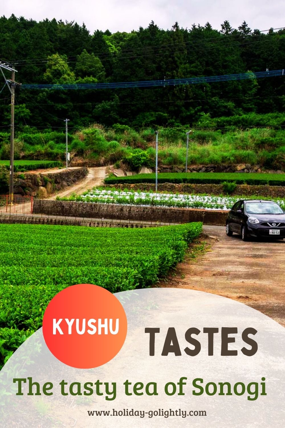 The Tasty Tea of Sonogi on Kyushu Island – Holiday-Golightly