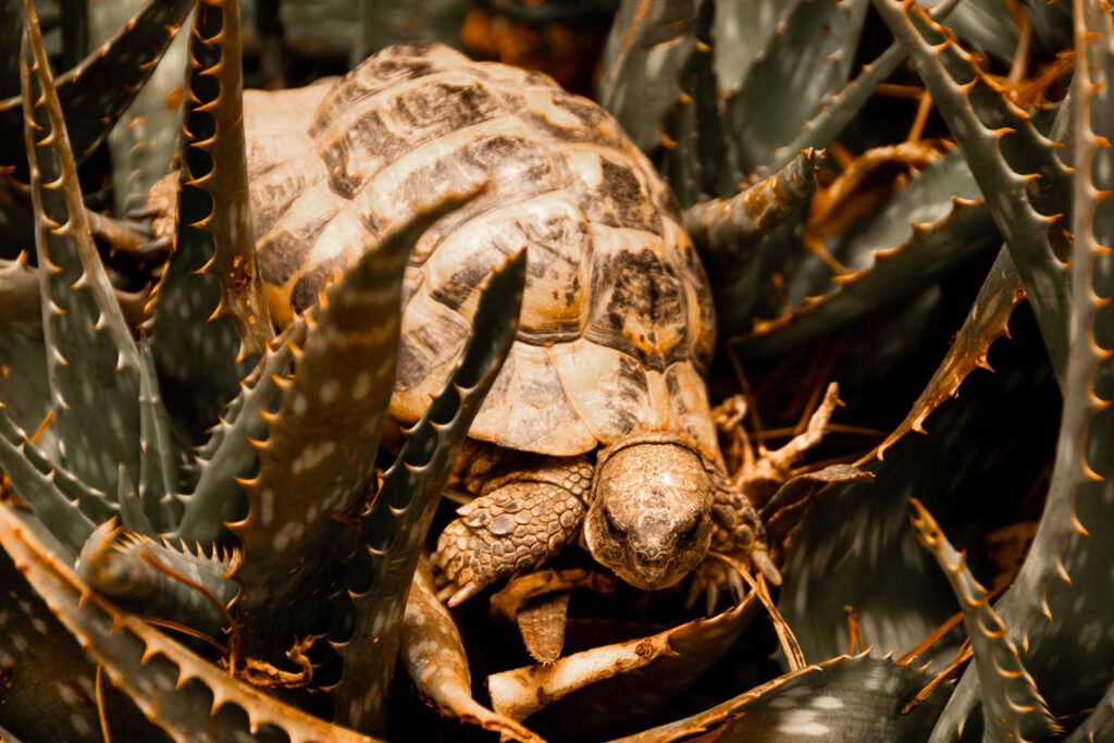 Artificial Intelligence and Blogging