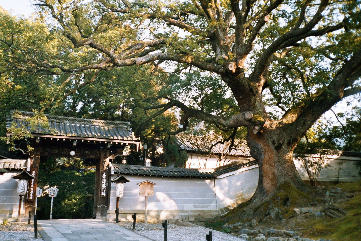 Kansai itinerary, Kyoto, Shoren-in Temple