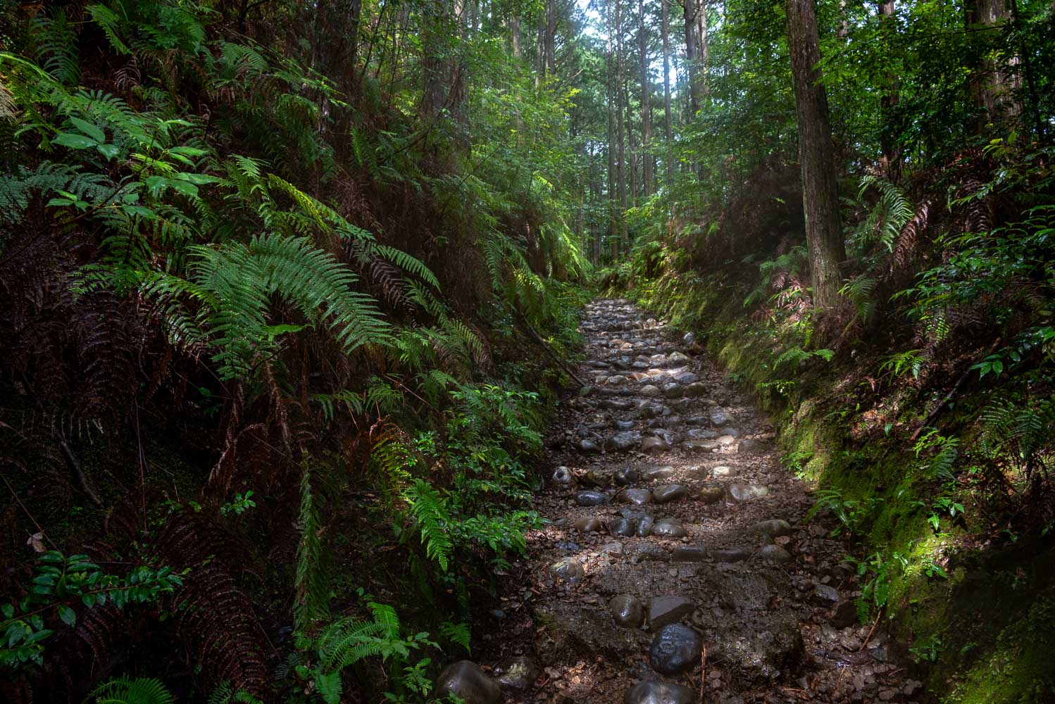 Kumano Kodo with limited mobility