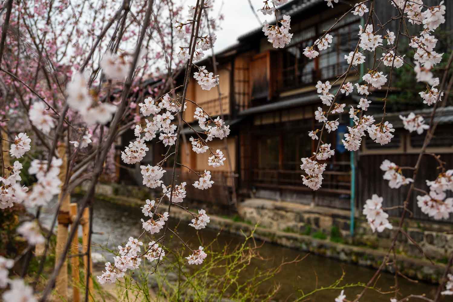 Gion Shinmonso Kyoto